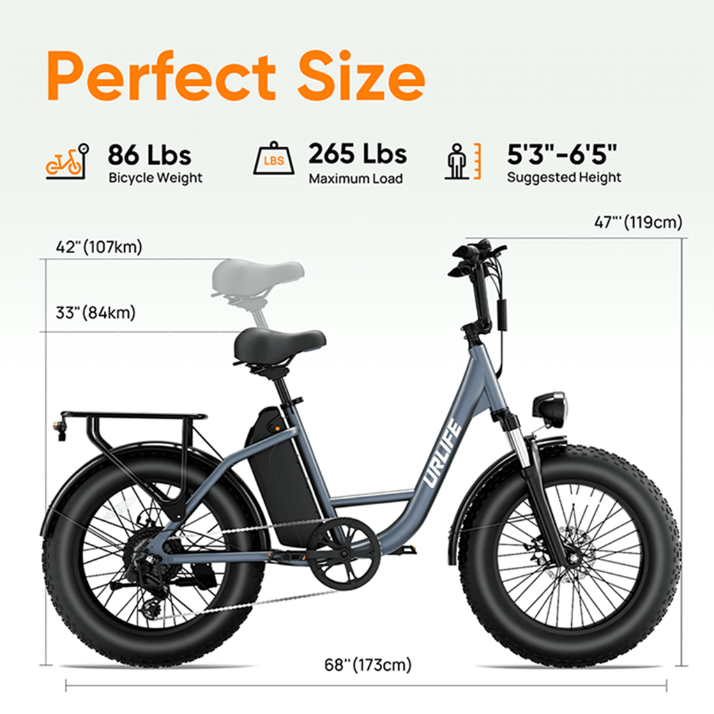 URLIFE 20*4.0 Fat Tire Ebike for Adults,1500W Peak Motor, 749Wh Removable Battery, 28MPH 80Miles-Range Electric Bicycle,Full Suspension Shimano 7-Speed Mountain Bike,UL2849-Black