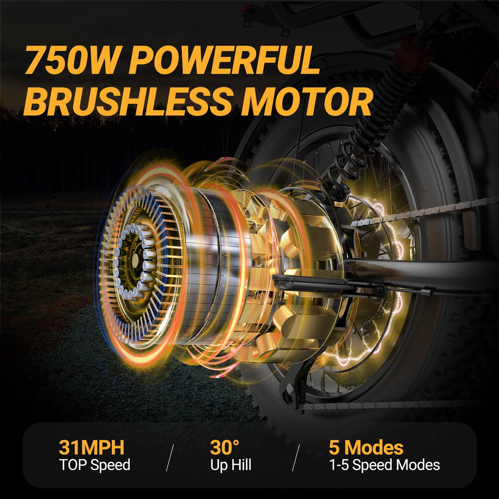 VOLTVOGUE VV-20 Adult Electric Bike, 1500W Brushless Motor, 20 Fat Tire 48V 20Ah Ebike, 31MPH Top Speed Dual Suspension